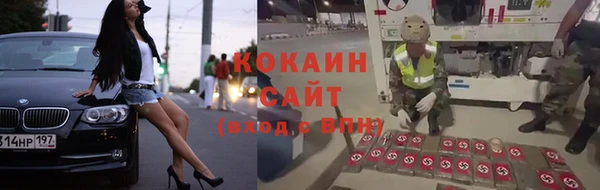 прущие крисы Новокубанск