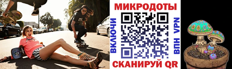 Галлюциногенные грибы Psilocybine cubensis  Поронайск 